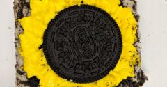 Arynnes-sunflower.jpg